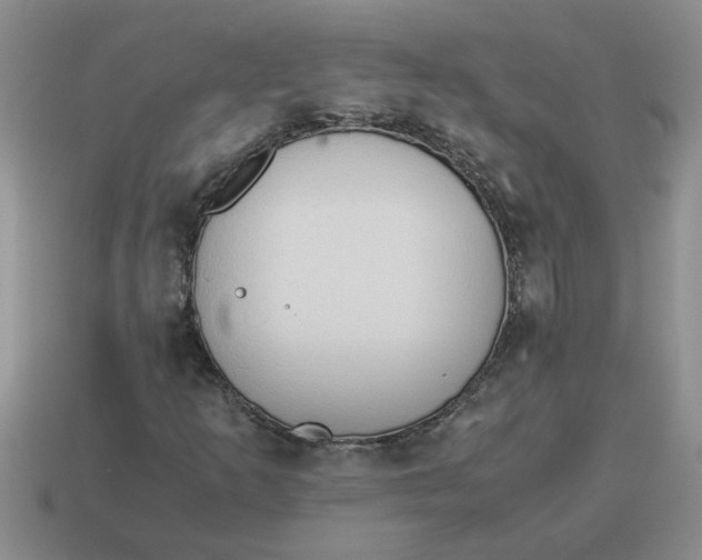 X0000114501253200911091102
