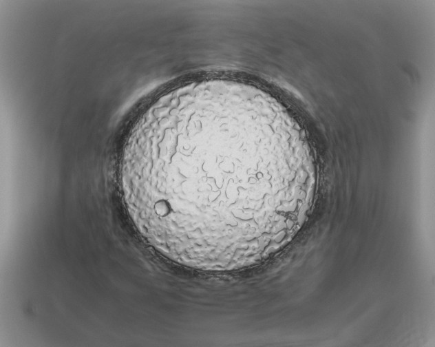 X0000114501255200911091102