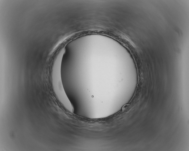 X0000114501256200911091102