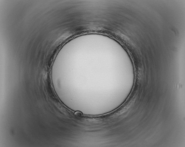 X0000114501257200911091102