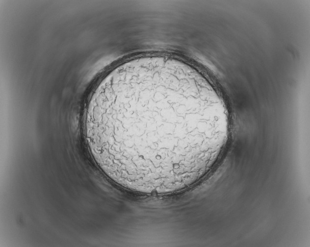 X0000114501259200911091102