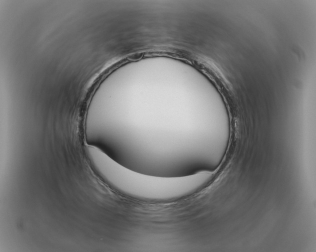 X0000114501260200911091102