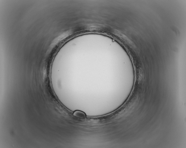 X0000114501261200911091102