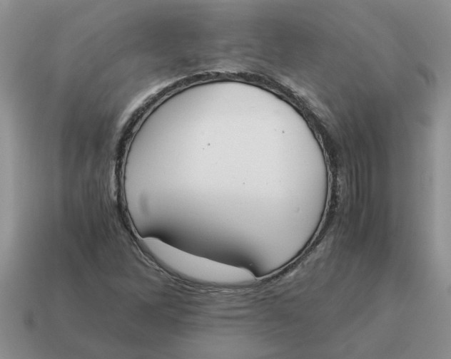 X0000114501262200911091102