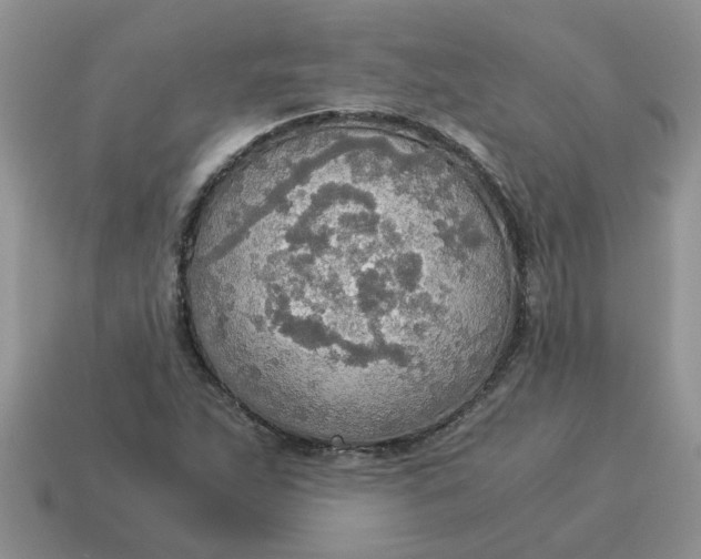 X0000114501263200911091102