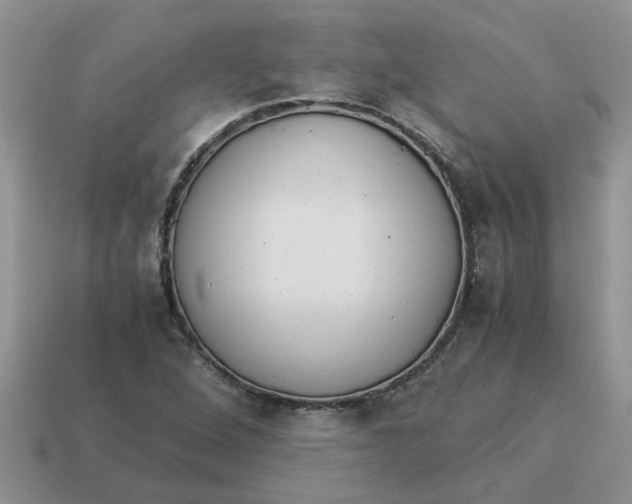 X0000114501264200911091102