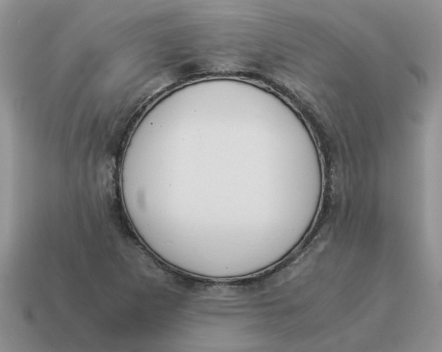 X0000114501265200911091102