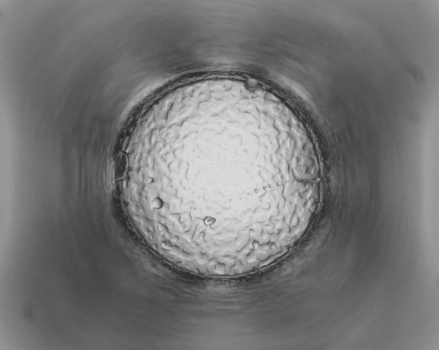 X0000114501267200911091102