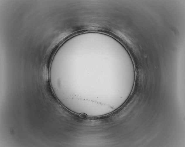 X0000114501269200911091102