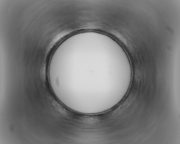 X0000114501270200911091102