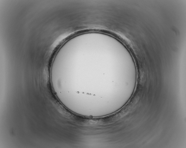 X0000114501271200911091102