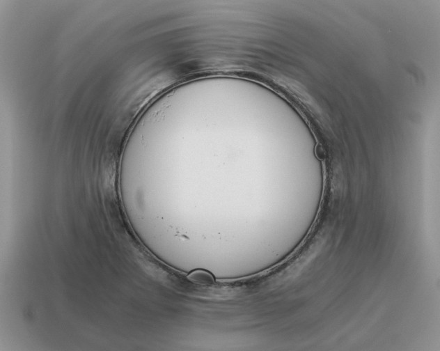 X0000114501273200911091102
