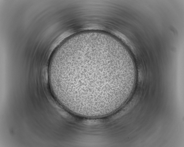 X0000114501274200911091102