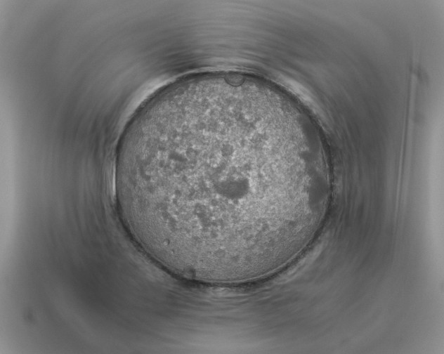 X0000114501275200911091102