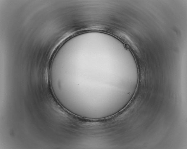 X0000114501276200911091102