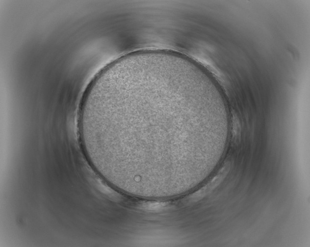 X0000114501278200911091102