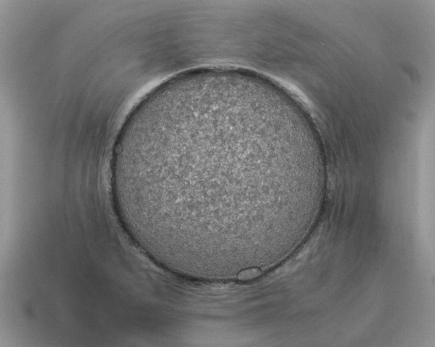 X0000114501279200911091102