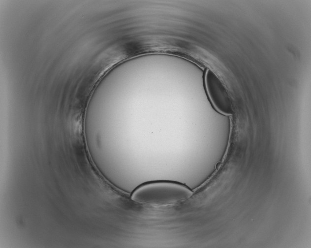X0000114501281200911091102