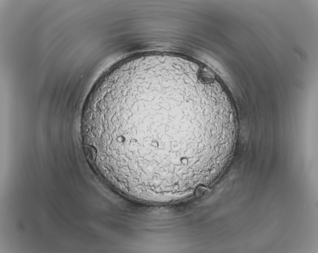 X0000114501283200911091102