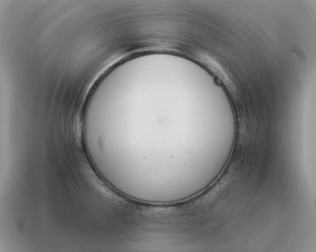 X0000114501284200911091102