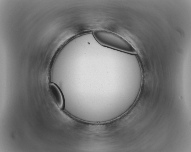 X0000114501285200911091102