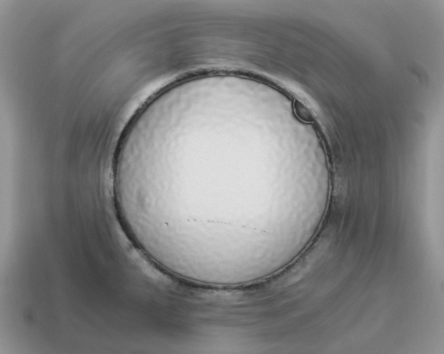 X0000114501287200911091102