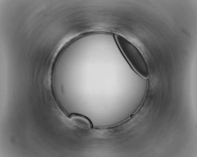 X0000114501288200911091102