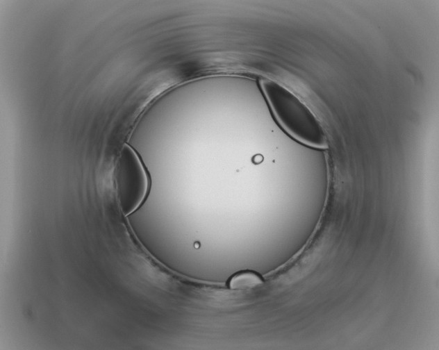 X0000114501289200911091102