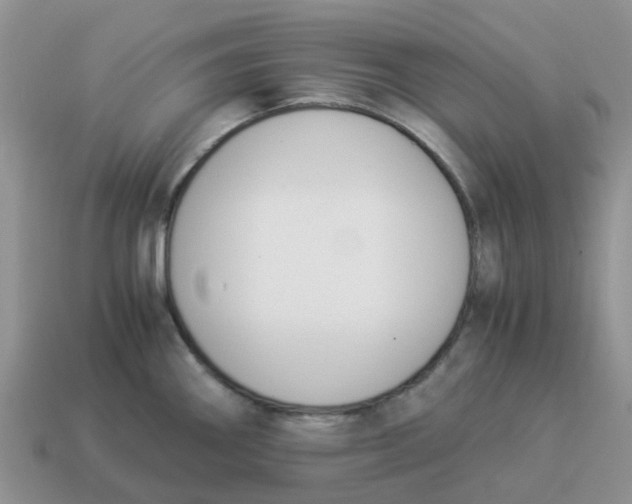 X0000114501290200911091102