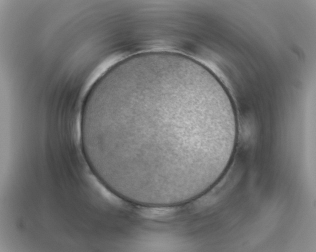 X0000114501294200911091102