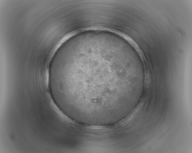 X0000114501295200911091102