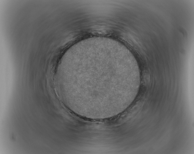 X0000114501297200911091101