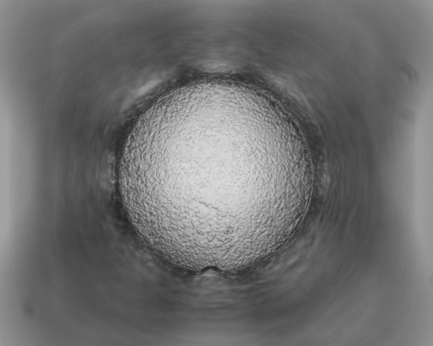 X0000114501301200911091101