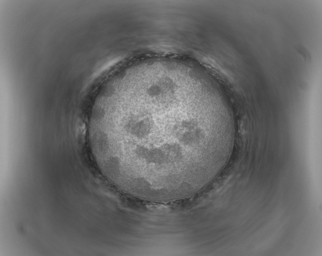 X0000114501302200911091101