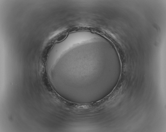 X0000114501303200911091101