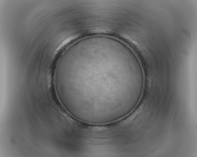 X0000114501306200911091101