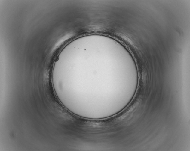 X0000114501309200911091101