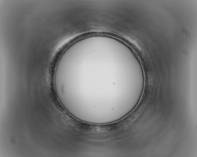 X0000114501311200911091101