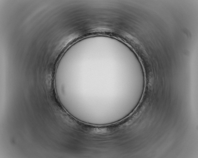 X0000114501313200911091101
