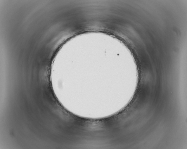 X0000114501314200911091101