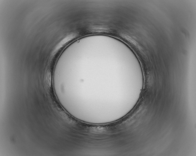 X0000114501317200911091101