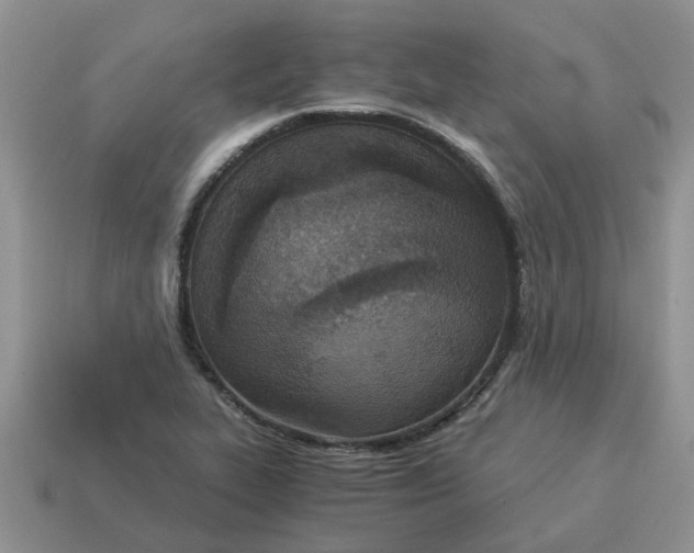 X0000114501319200911091101