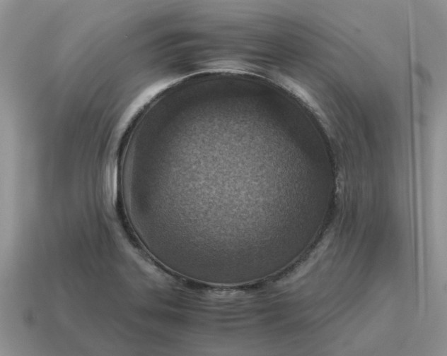 X0000114501323200911091102