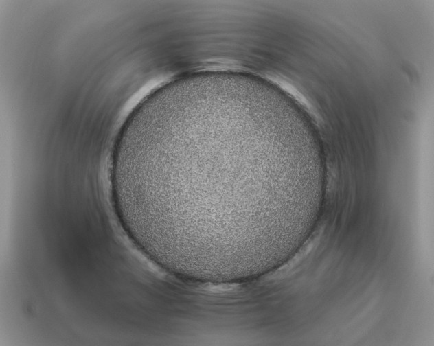 X0000114501325200911091102