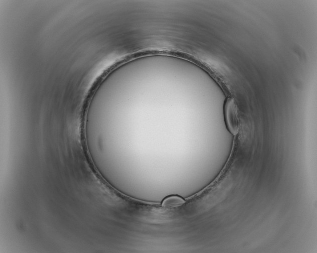 X0000114501326200911091102