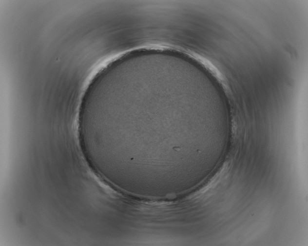 X0000114501327200911091102