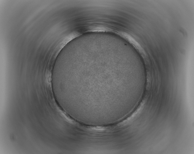 X0000114501329200911091102