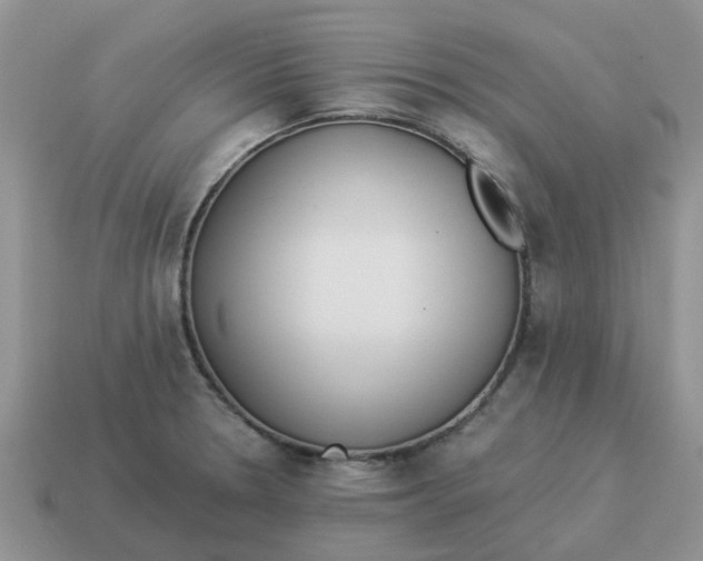 X0000114501330200911091102