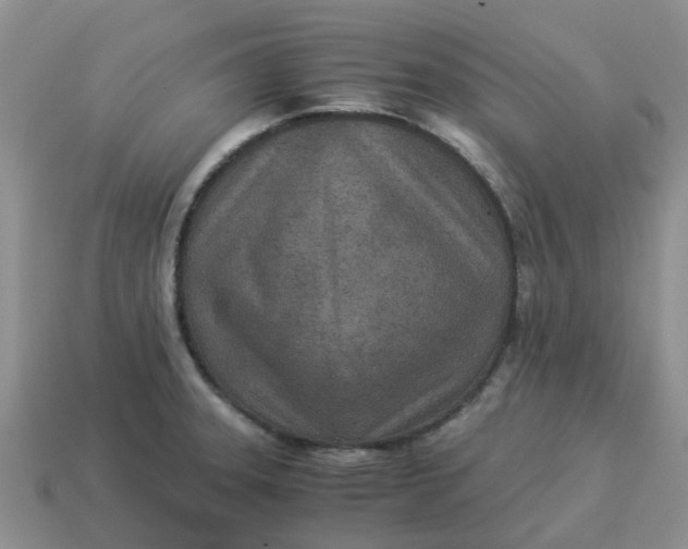 X0000114501331200911091102