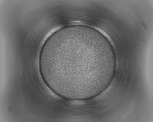 X0000114501333200911091102